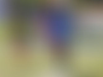 1ª DIVISÃO DO FUTEBOL AMADOR DE CAMPO LIMPO PAULISTA 2026: Vai Quem Qué vence clássico e Parque Internacional e Real Monte Alegre vencem e encostam no América de Vila Chacrinha.