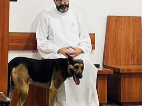 CAMPO LIMPO PAULISTA 2026: 17ª Romaria a pé a Aparecida do Norte, ganhou um "Romeiro" novo o Cãopanheiro!