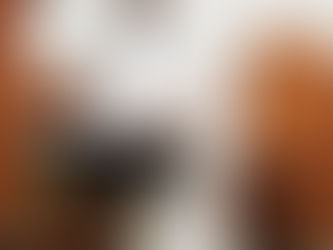 CAMPO LIMPO PAULISTA 2026: 17ª Romaria a pé a Aparecida do Norte, ganhou um "Romeiro" novo o Cãopanheiro!