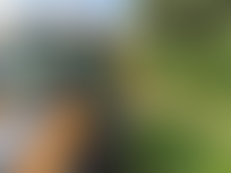 CAMPO LIMPO PAULISTA 2026: Equipes reforçam ações de manutenção em diversos bairros