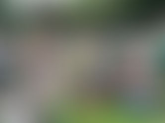 FUTEBOL AMADOR 2025: Realmatismo um dos maiores clubes do Botujuru completa 14 anos.