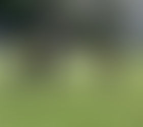 COPA BOTUJURU 2025: Nesse domingo (26) tem a 3° Rodada.