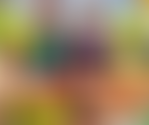 CAMPO LIMPO PAULISTA 2025: A 1ª Festa da Manga da foi um sucesso!