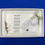Thumbnail: sage green calla lily card for mom from son on wedding day with a hankie and an angel pin in a gift box