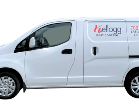Pest Control Centennial Hills, Las Vegas