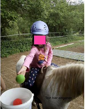 Bildschirmfoto 2023-09-30 um 20.40.45.png
