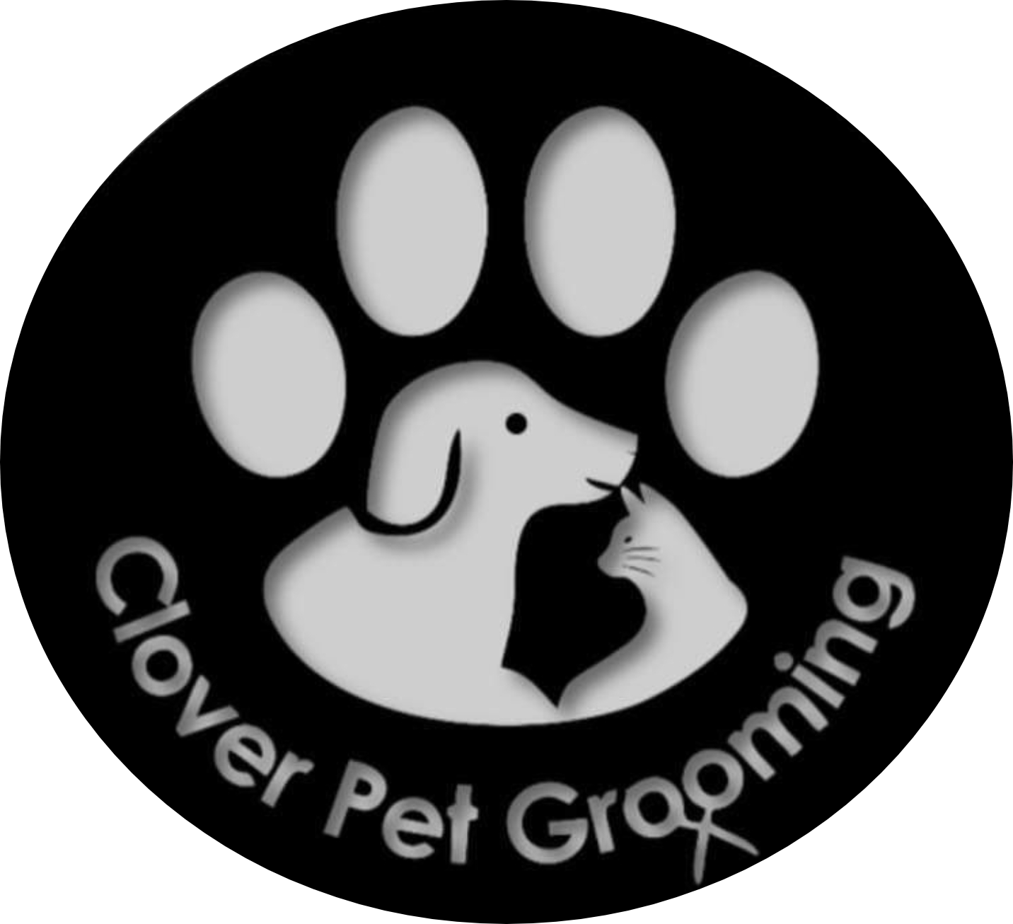 Clover Pet Grooming Pet Grooming Christchurch Christchurch