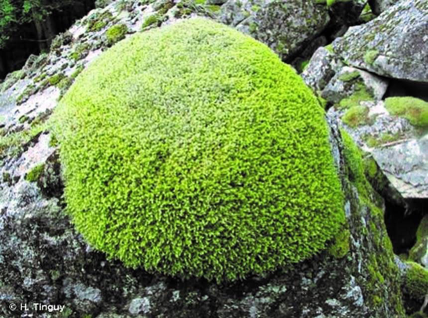 Prochaine sortie pour tous