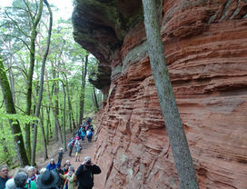 CV-HK  (24) - Copie.JPG