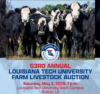 Screenshot 2026-02-26 124456.png