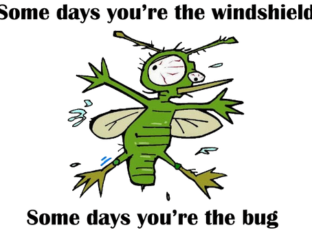 Mosquitos, Turkeys, and Wesley's 3rd Rule
