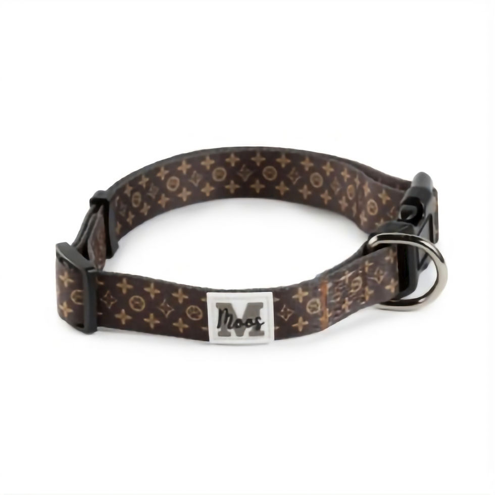 Hondenhalsband in print Furton