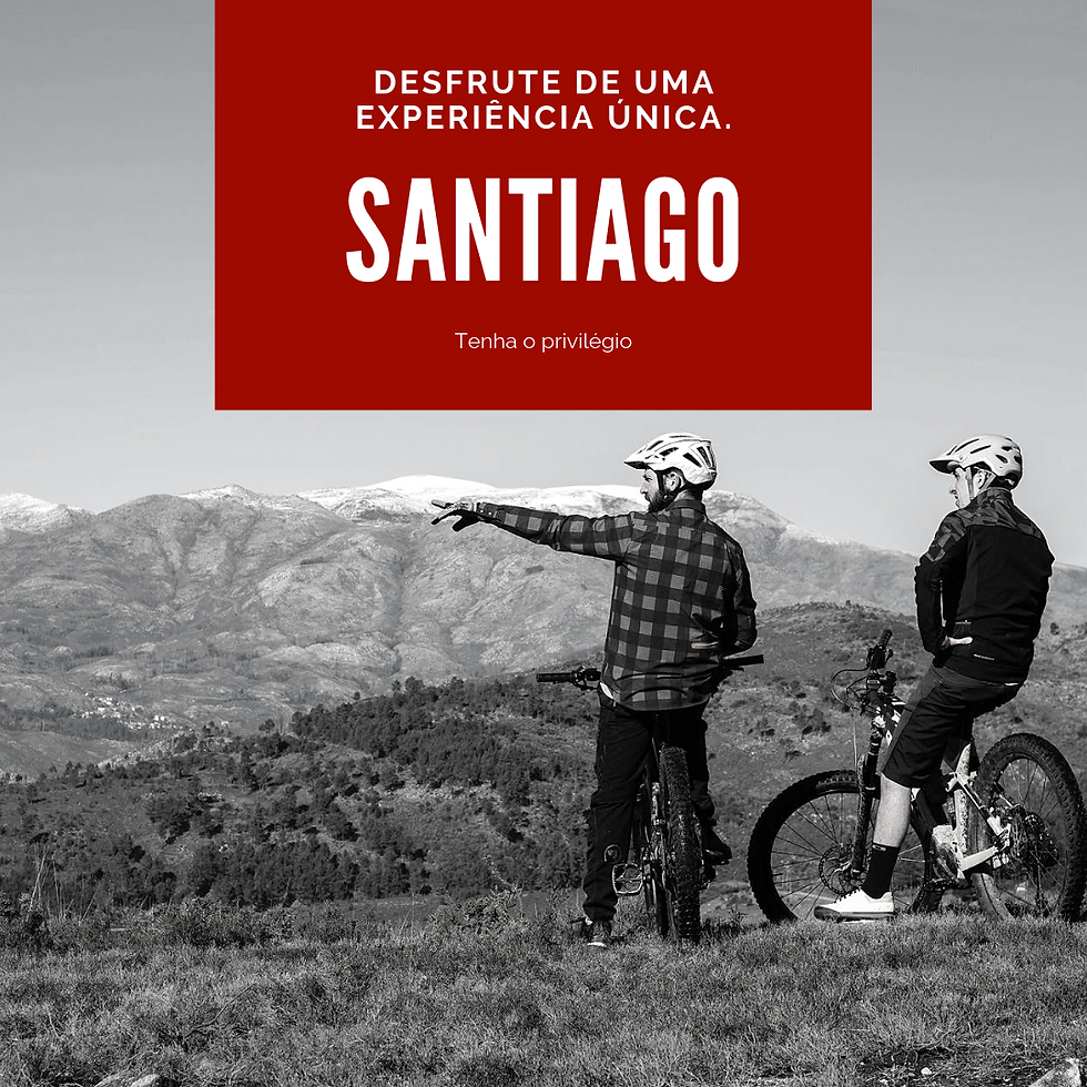 Rentabike Oporto Special Rental Bikes Porto, Portugal