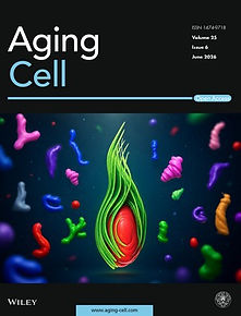 aging cell cover.jpg