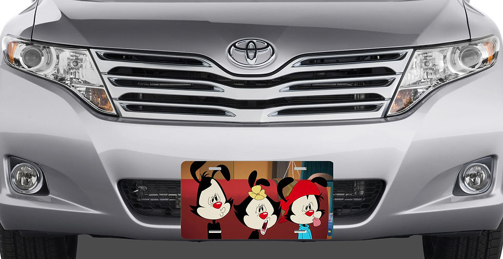 Thumbnail: Animaniacs - Faces - License Plate