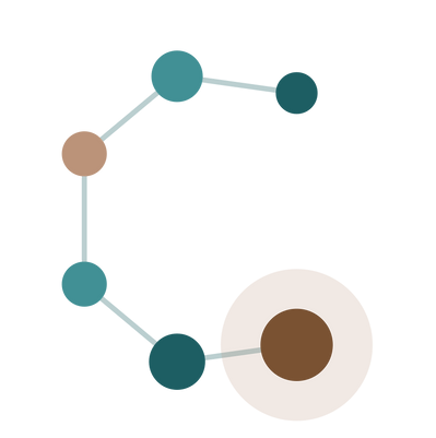 Constellation-Icon-Colour.png