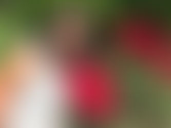 Interview With Author- Anna Bushi