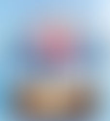 Book Review- 'Snowbound' By Monique McDonell