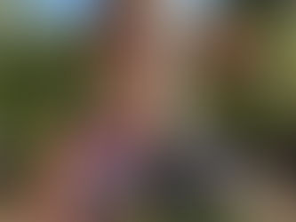 Interview With Author - Sarah Linx