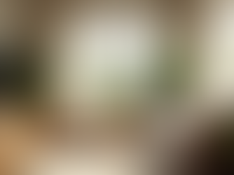 Why Root Cause Wellness Benefits Mental Health