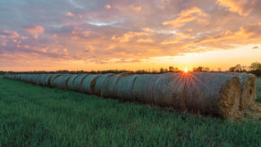 Wir wurden zum Erkunden geschaffen, nicht zum Urteilen.