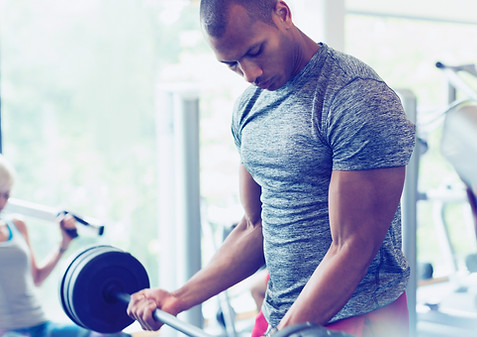 Muskelaufbau Biceps Curls