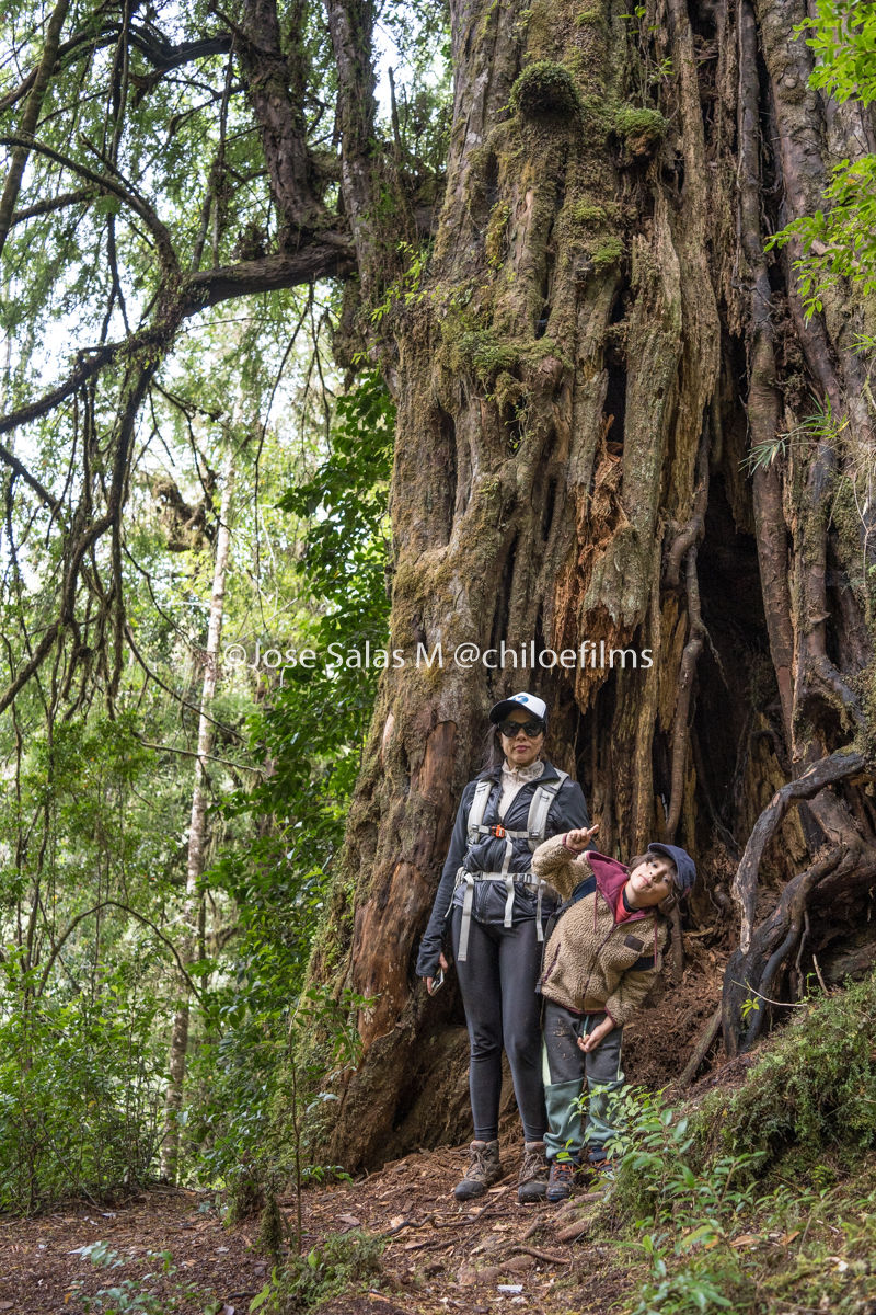 Parque Tepuhueico