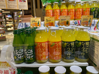 img_7199.jpeg