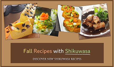ENG fall shikuwasa recipe topics banner.jpg