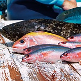 04_Fresh fish-main01 (Medium).jpg