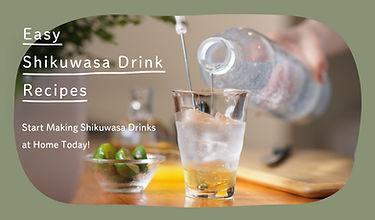 EN shikuwasa drink topics banner.jpg