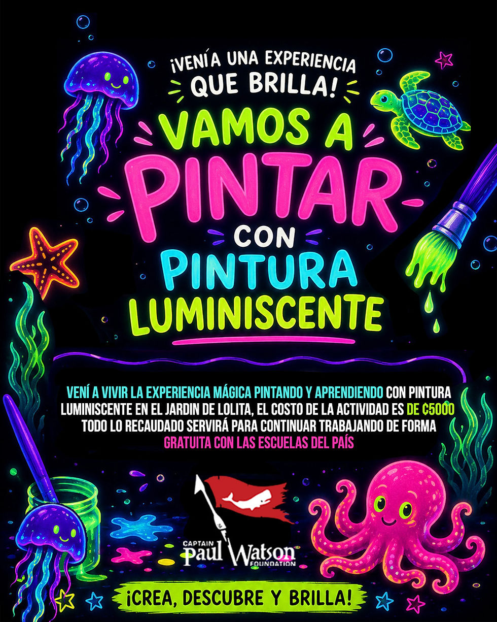 Oceanos que brillan ✨ ✨