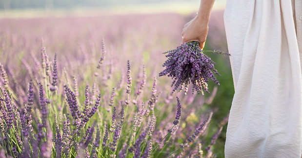Sem título (77).png