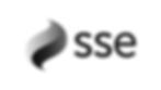 SSE_edited.jpg