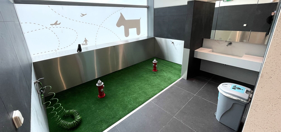 Et billed af et hundetoilet i Lisbon Lufthavn med kunstgræs, små brandhaner og en haveslange.