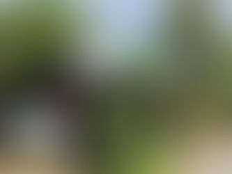 Public Farm Yogyakarta, Gerakan Kolektif Pemberdayaan Pangan Mandiri