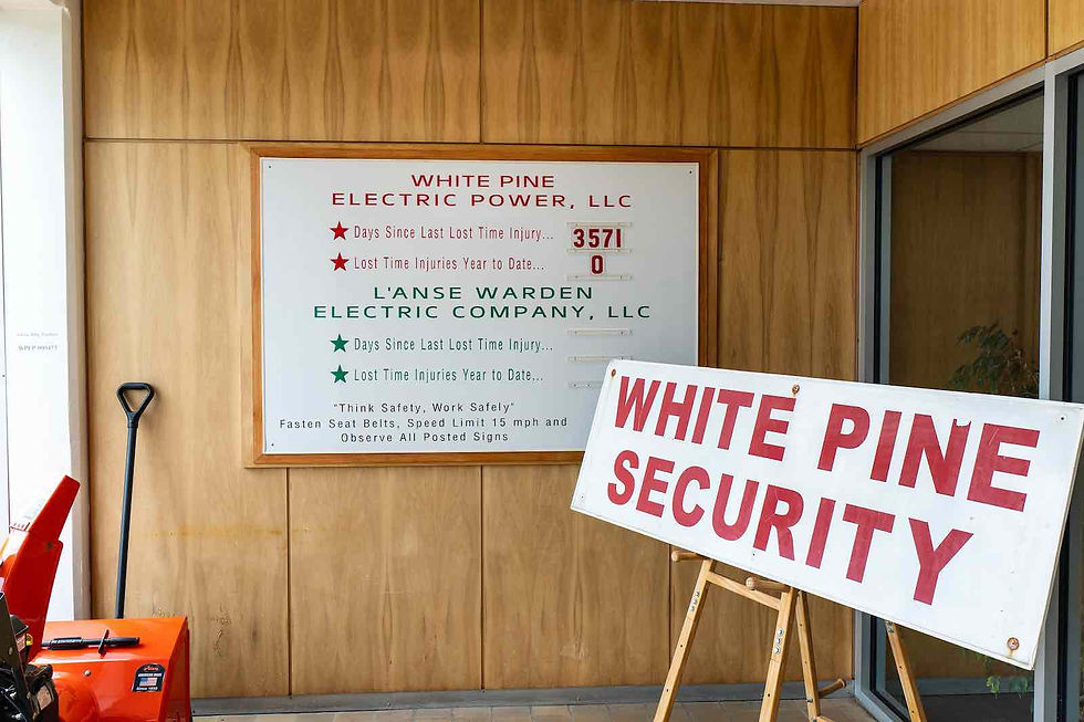 White Pine Power Station & Refinery - 3.jpeg