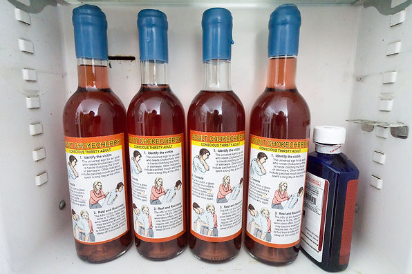 Homemade Chokecherry wine from Michigan