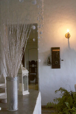 IMG_9694 - copia - copia