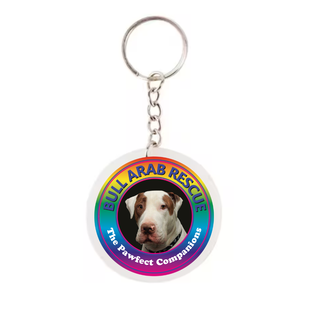 Rainbow Logo Keyring
