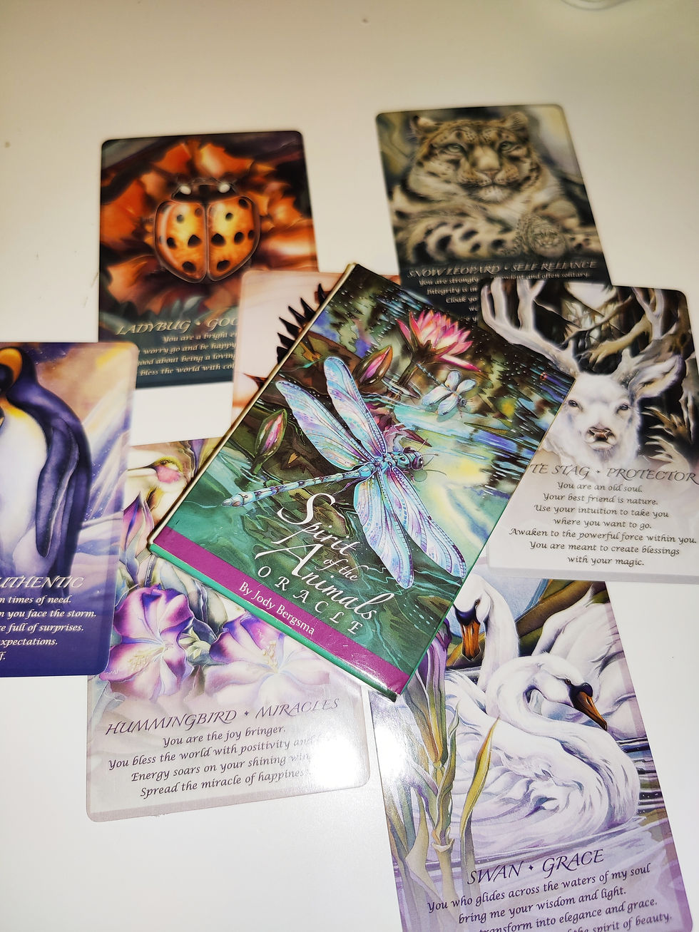 מסרים מרוח החיות