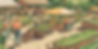 Create an image of the farm, lush greenery, or a community event. showcasing a lush permac