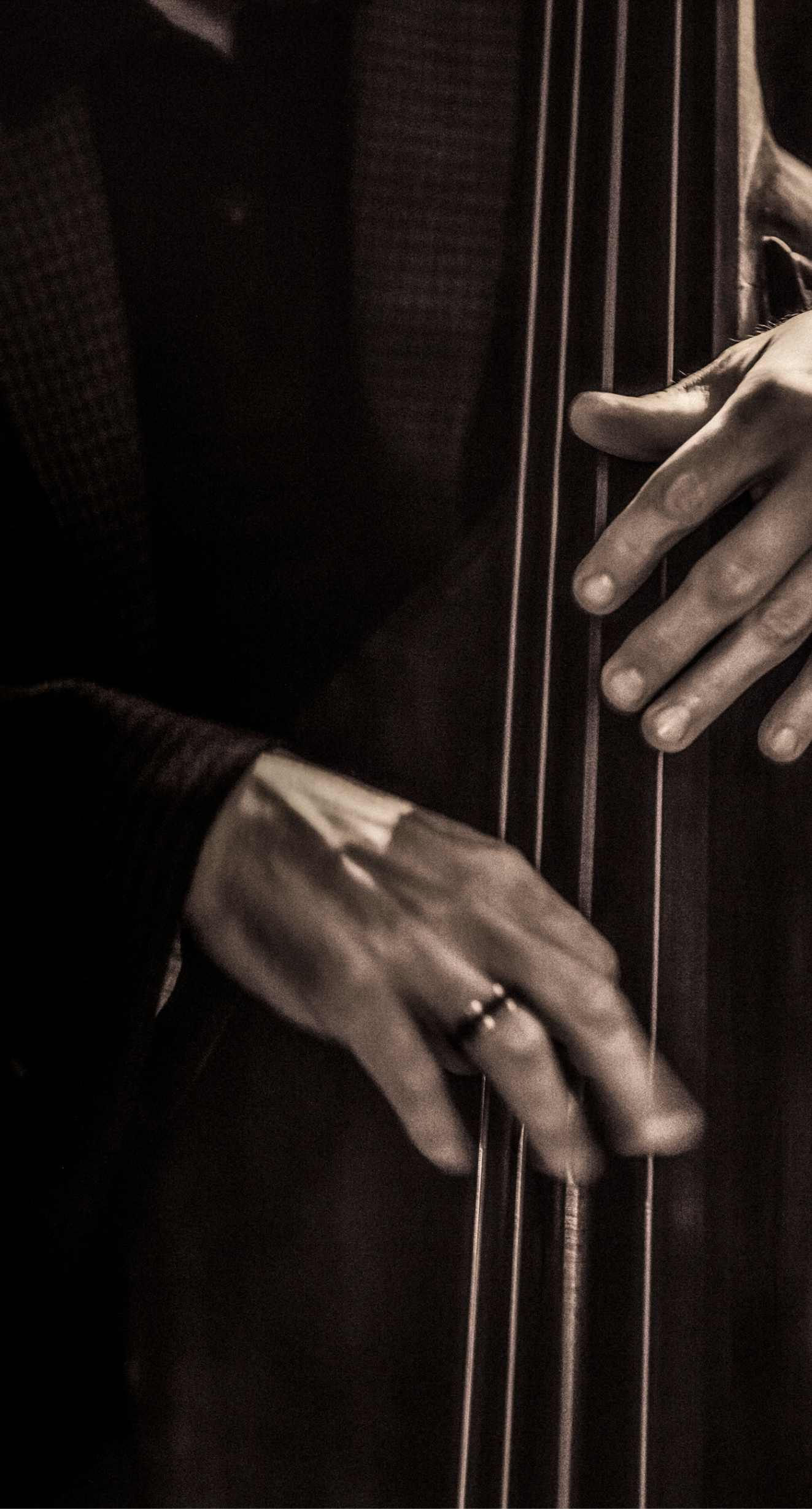 Painel acústico anti reverberação V #019