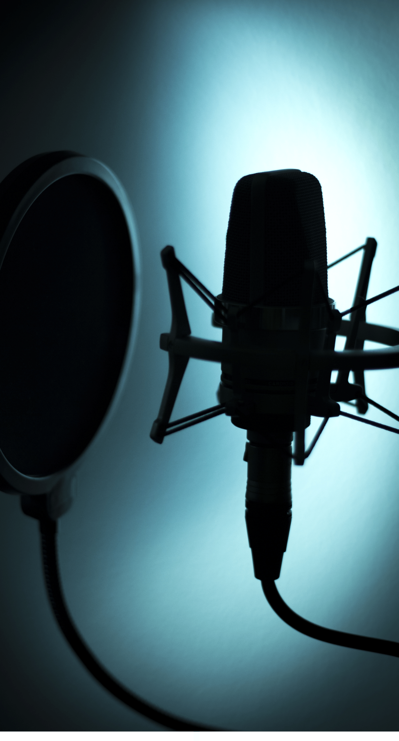 Painel acústico anti reverberação V #005