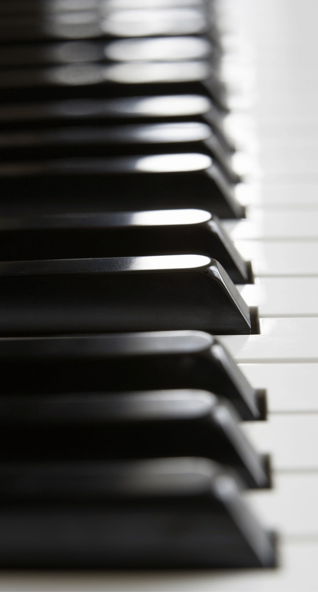 Painel acústico anti reverberação V #004