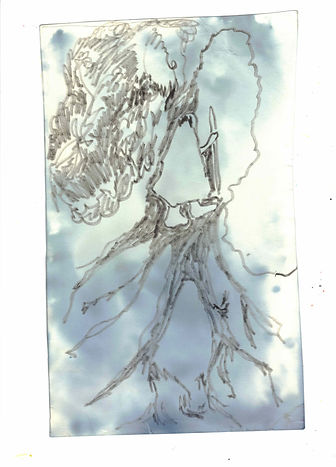 cyanotype tarot series 2.jpeg