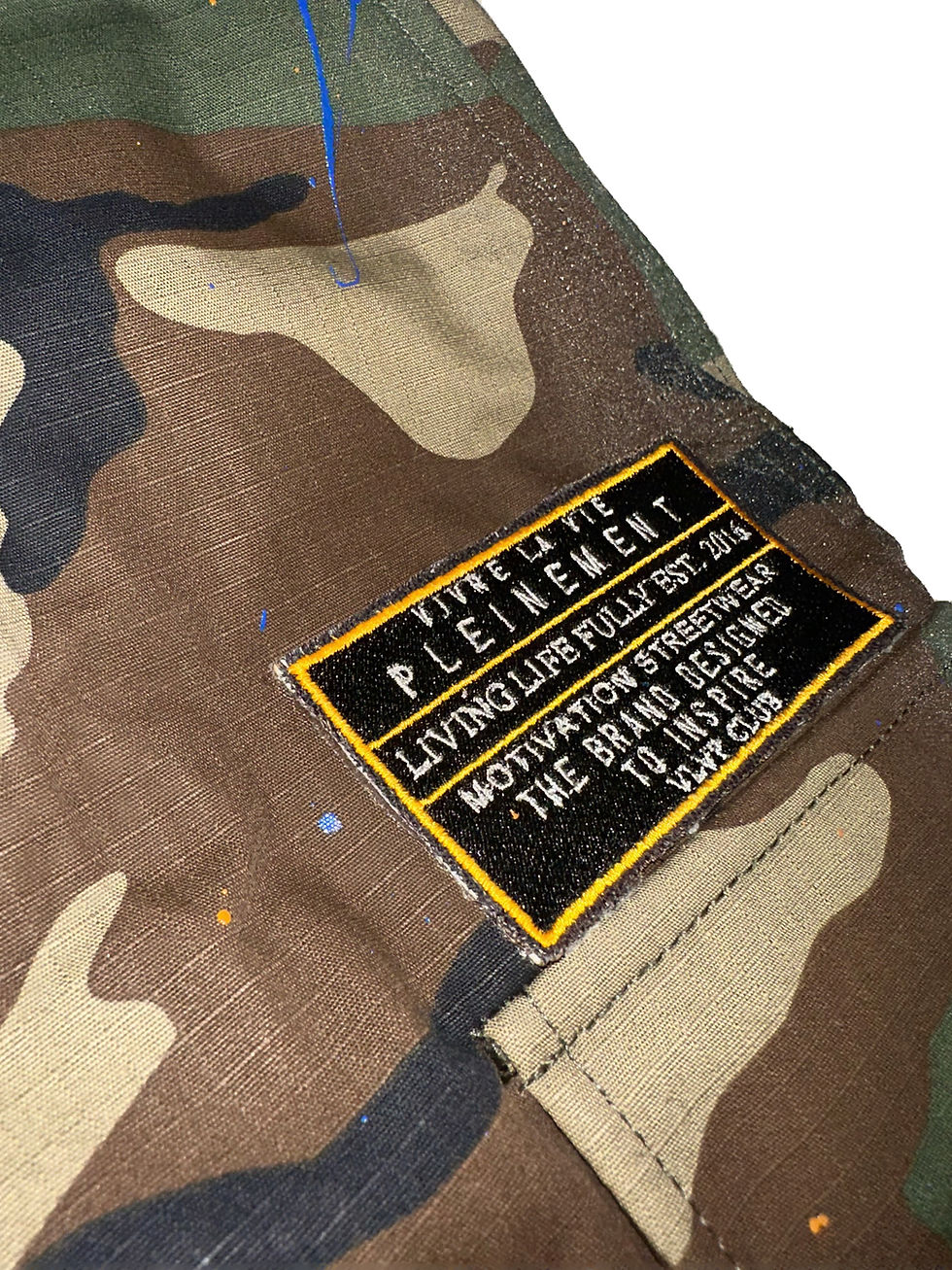 Thumbnail: Fighter Camo Cargos