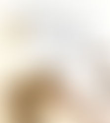 Beware Of Little Expenses!