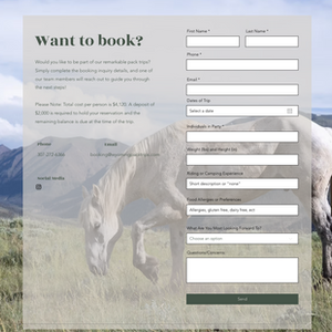 Website design layout with an online booking form over a scenic mountain background.