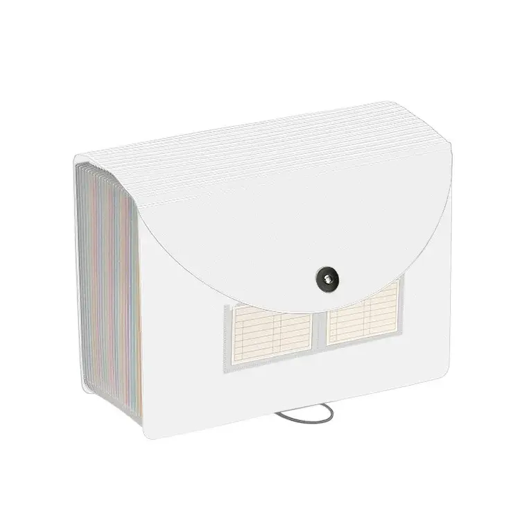 Thumbnail: A4 Document Organizer